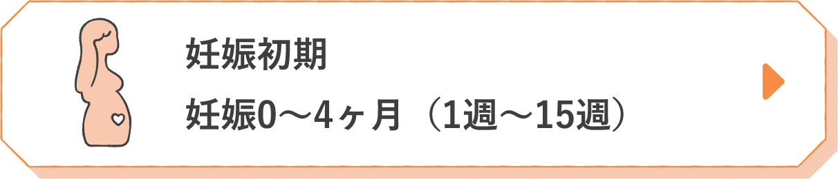 妊娠初期 妊娠0〜4ヶ月（1週〜15週）