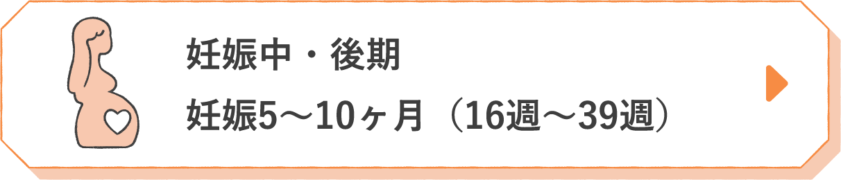 妊娠中・後期 妊娠5〜10ヶ月（16週〜39週）