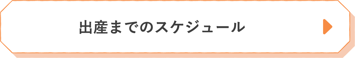 出産までのスケジュール