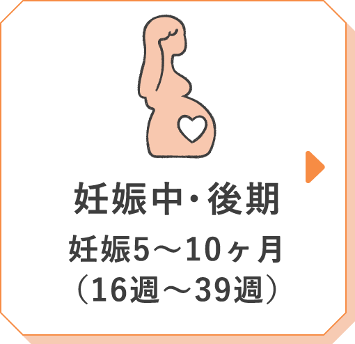 妊娠中・後期 妊娠5〜10ヶ月（16週〜39週）