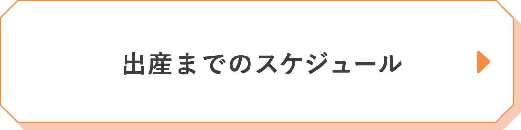 出産までのスケジュール