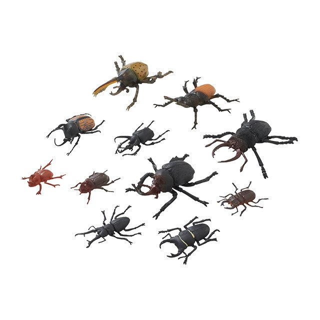 昆虫王国 カブト＆クワガタ