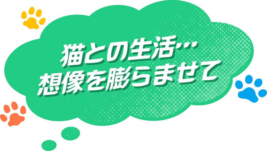 猫との生活…想像を膨らませて