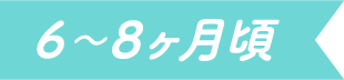 6〜8ヶ月頃