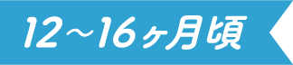 12〜16ヶ月頃